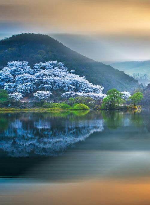 2018ĂԺ侫Ϭhղ